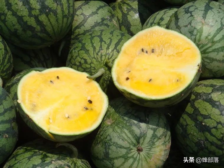 夏天吃黄心西瓜好还是红心西瓜好,吃西瓜的几大注意事项