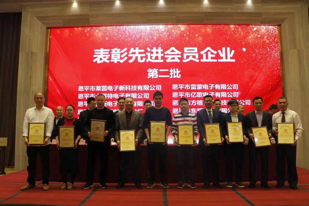 恩平电声行业协会成员,恩平协会