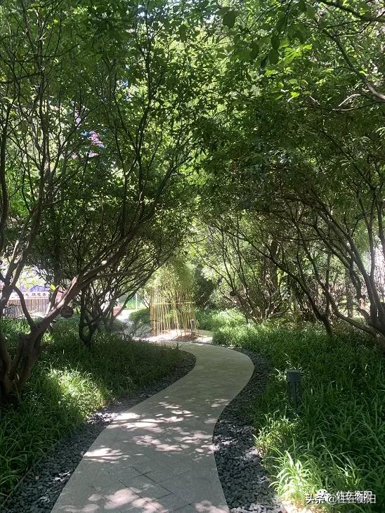 鉴盘⑥丨均价高过周边楼盘超500元/㎡的项目，值吗？