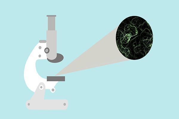 冰箱冷冻的东西有异味是怎么回事,冰箱鱼腥异味去除最快方法小窍门