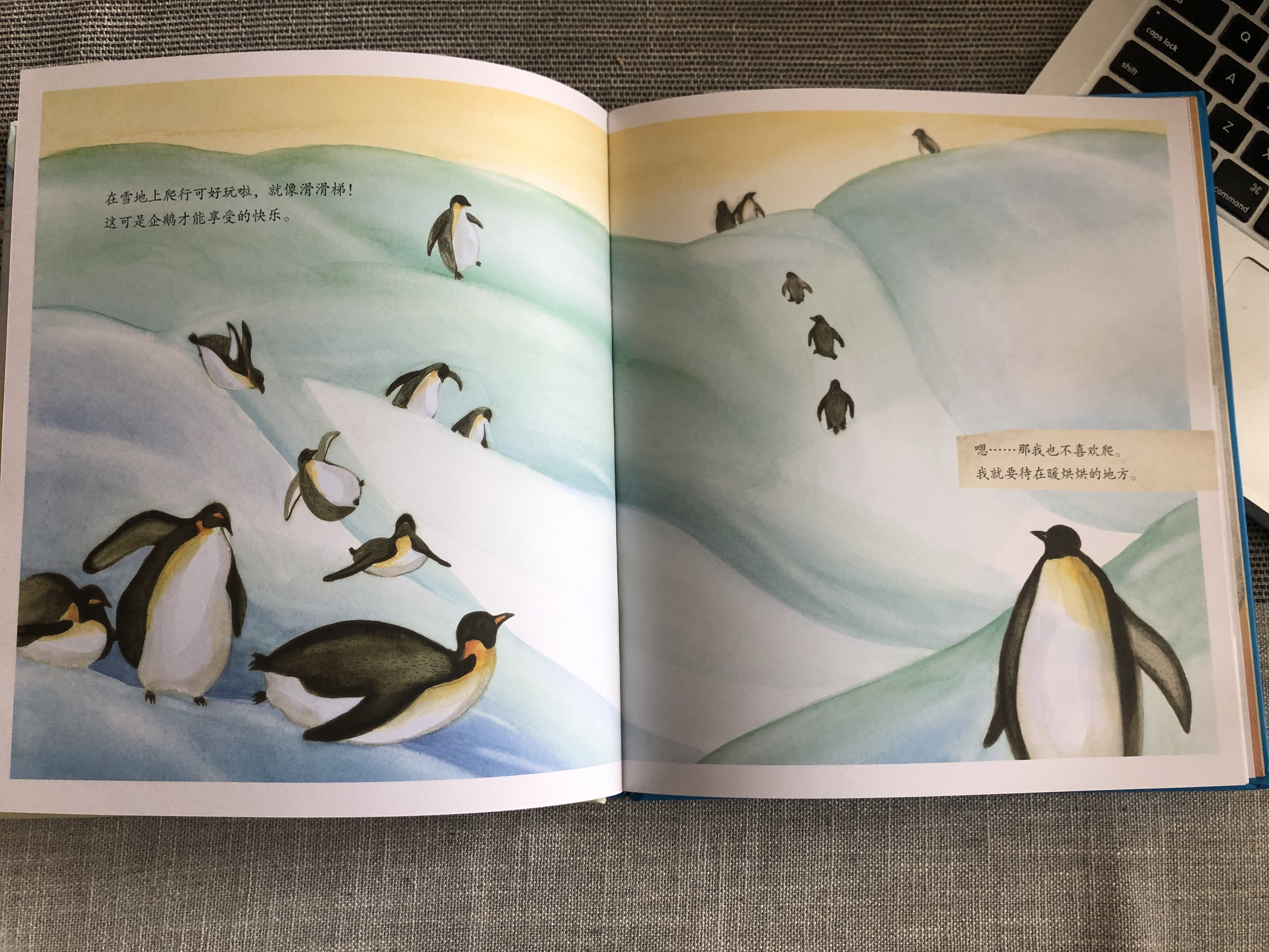 和帝企鹅学习做家长:父母原始的爱,是孩子由内而外的力量