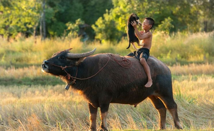 陆游还有哪首诗词与收复失地有关,陆游去过并写下七言绝句的地方