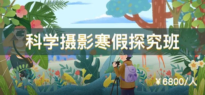 一群博士硕士,动不动“鬼混”到半夜,却干成了件人人称赞的事