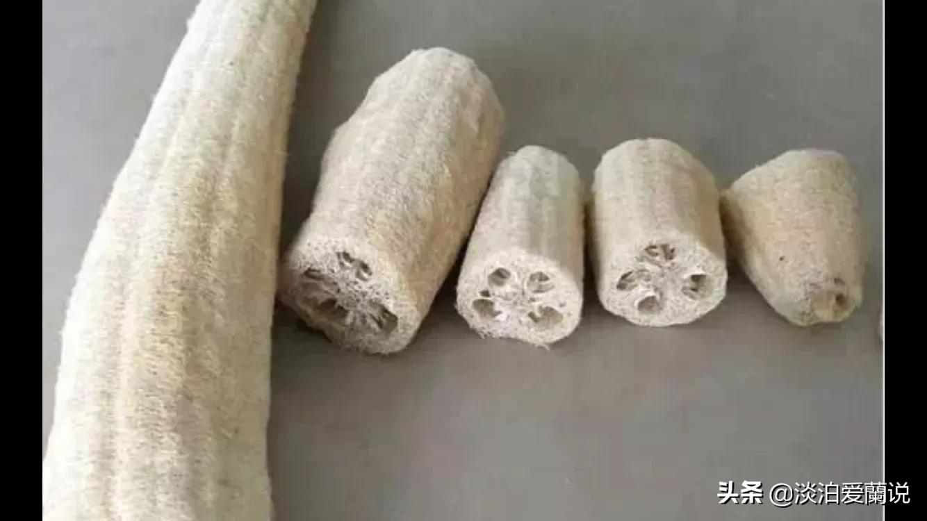 养根的道理大家都知道，但到底什么样的根是好的根？看根的好坏