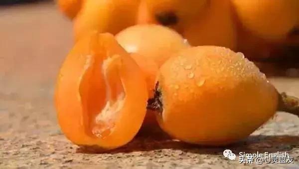 50种水果英语单词合集,英文水果单词速记每天100个