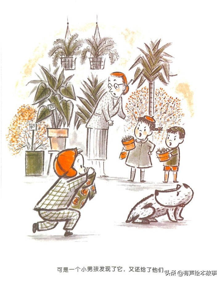 儿童故事哈利的花毛衣,哈利不可以有声绘本故事