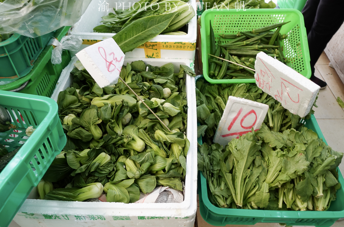 闲逛老店林立的澳门十月初五老街，菜市场的菜价有些出乎意料