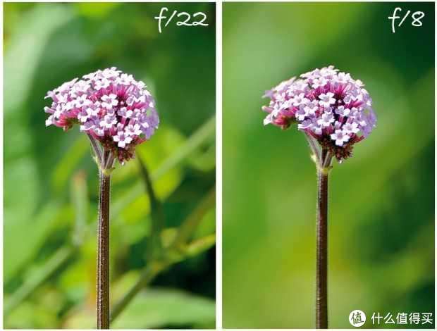 iphone11pro看视频清晰度,iphone11pro和iphone12