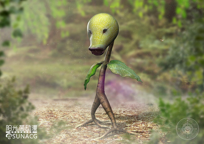 宠物小精灵哪个神奇宝贝最厉害,宠物小精灵里面稀有的神奇宝贝