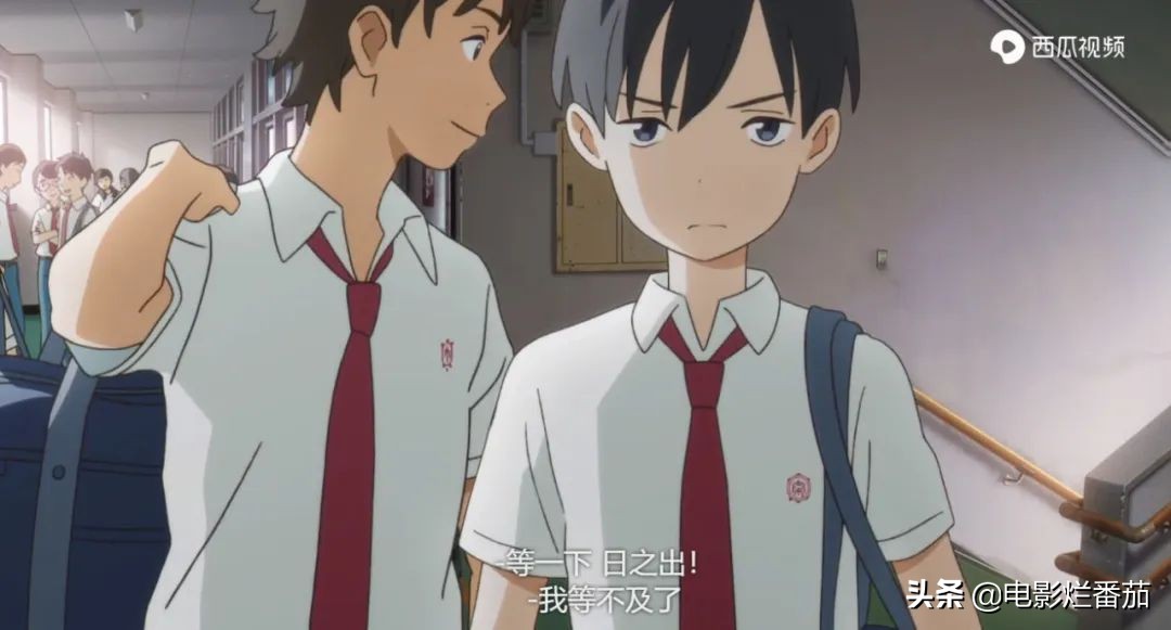 这部温情的撸猫片,让我哭得溃不成军,这是全世界猫*党**的胜利