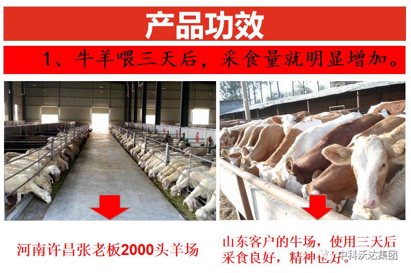 益力健牛羊专用中成药,益立健兽药