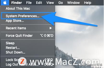 mac电脑safari浏览器找不到服务器,safari无法与服务器安全连接
