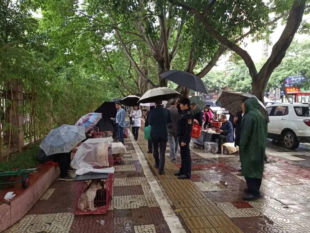 宠物市场搬哪里去了,宜宾宠物市场地址在哪里