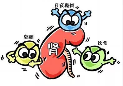 血肌酐一直升高怎么办,血肌酐一旦升高就没救了吗