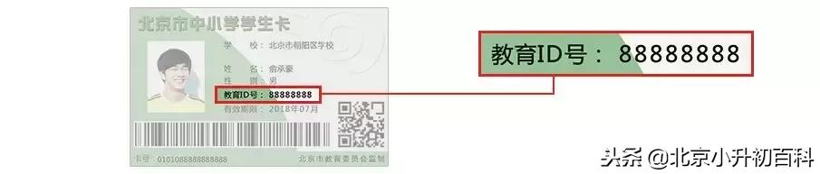 教育局学生账号忘记密码怎么办,如何查询教育id密码