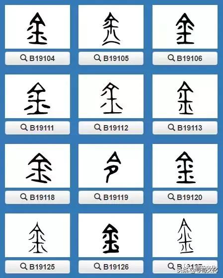 姓氏文化汉字艺术,汉字的艺术与中华姓氏文化