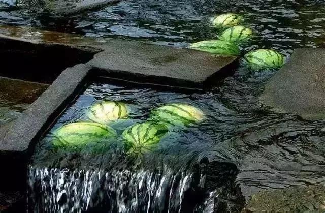 这一整个夏天我都不开空调,你敢信?