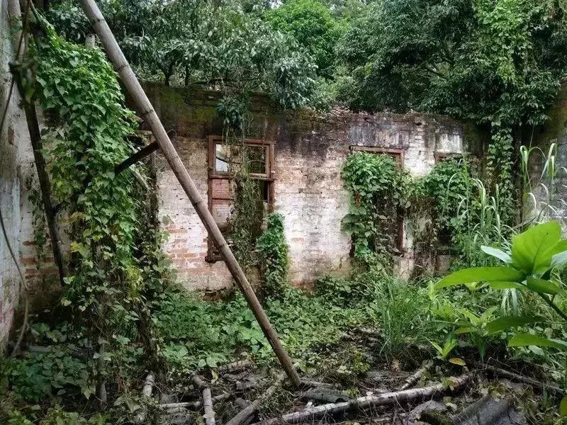 放弃世界顶尖银行工作，他回村当木匠，在废墟上盖出了爆美小院！