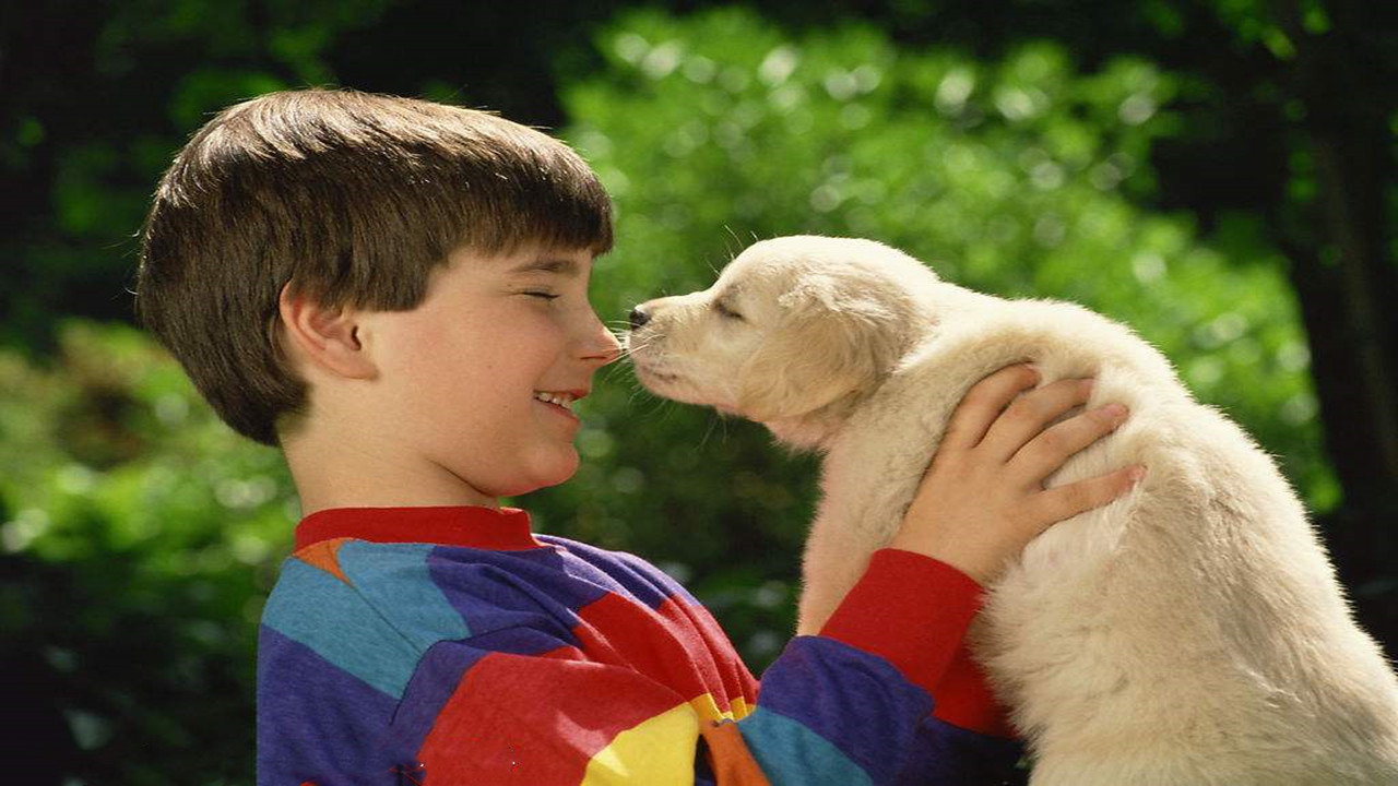 当孩子叛逆和你对着干怎么办,如果孩子以死威胁你你怎么回答