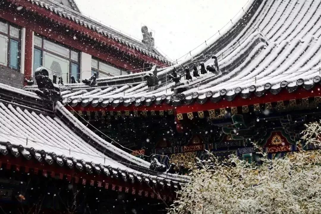 等一场雪，邂逅最美山“冬”｜冬游齐鲁