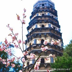 苏州旅游必去的景点排行榜第一名,苏州免费景点排名榜前十名有哪些