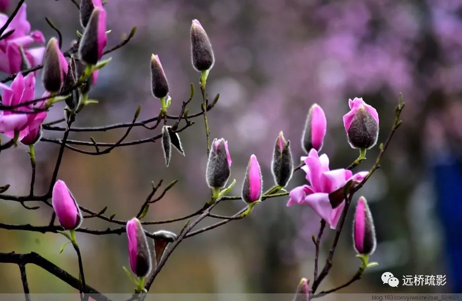 药王谷里觅旧迹（原图文）