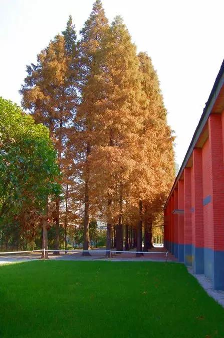 南京邮电大学中国科学技术大学,江苏省南京邮电大学专升本