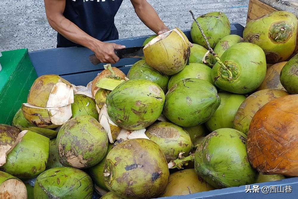 马来西亚饮料哪个牌子最好 (马来西亚mamak饮料)