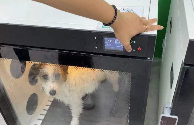 上海自助洗宠,上海宠物自助洗宠