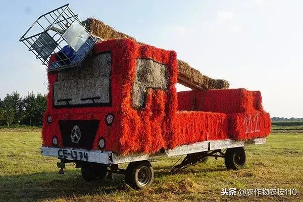 艺术与农业的饕餮盛宴,艺术与农产品结合的创新之处