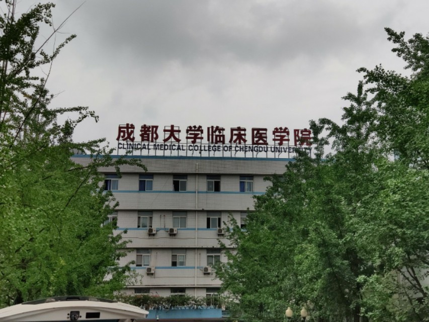 成都科学技术大学,四川成都大学