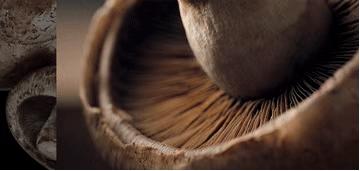 MUJI限时折扣!UR低至39!肯德基新品巨巨巨巨鸡肋!简直了!|