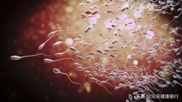 生男生女可以自己决定,生男生女可以自己决定吗电子书