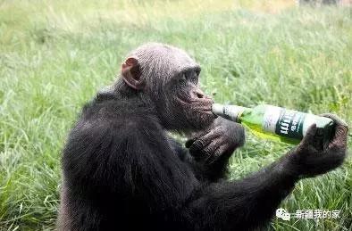 南公园，一代乌鲁木齐人的青春与回忆！