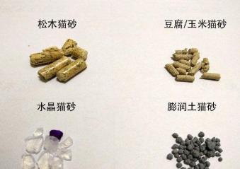 猫砂盆还没到猫咪乱拉怎么办,猫咪乱拉臭臭怎么办