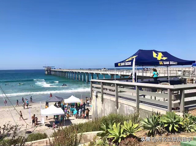 为什么加州大学圣地亚哥分校在国内知名度这么高？