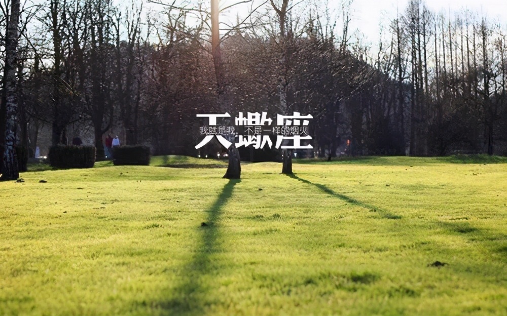 看着平庸其实有实力的星座,看上去没心机实际上有心机的星座