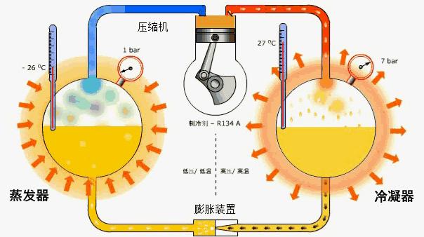 冰块透明的和白色的是怎么形成的,为什么饮品店的冰块这么贵