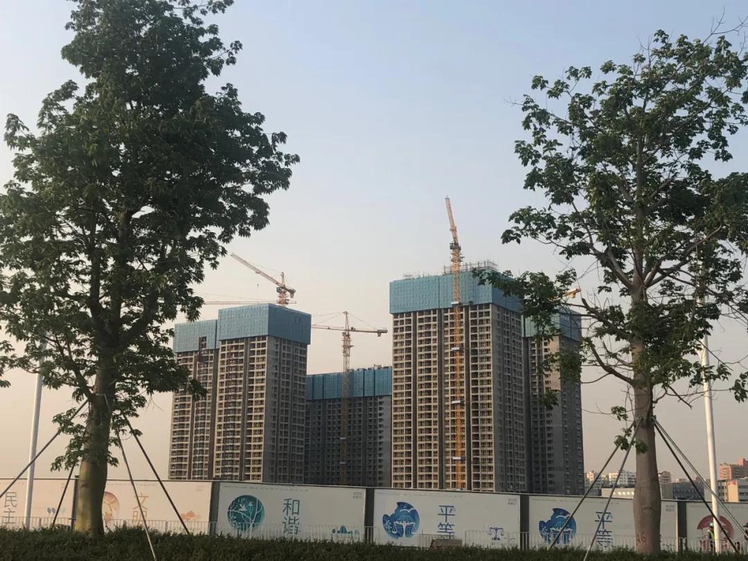 沙井本地人富裕吗,沙井土著