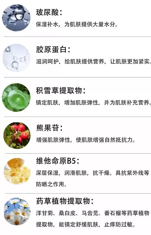 日本女生最想成为的女明星,日本女性最想拥有的脸