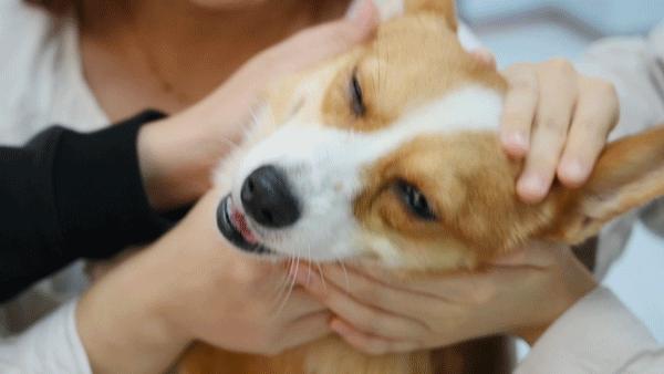 专门摸屁股的店，任摸