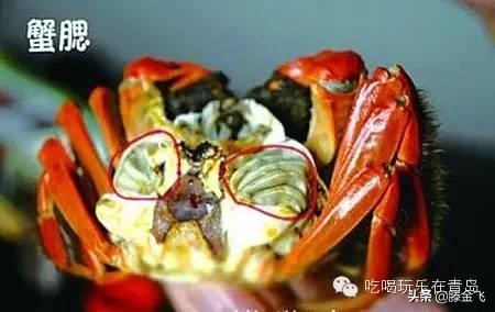 铻冭煿娉ㄦ按杈熻埃,铻冭煿琚笉灏忓績鏀炬按閲屼簡