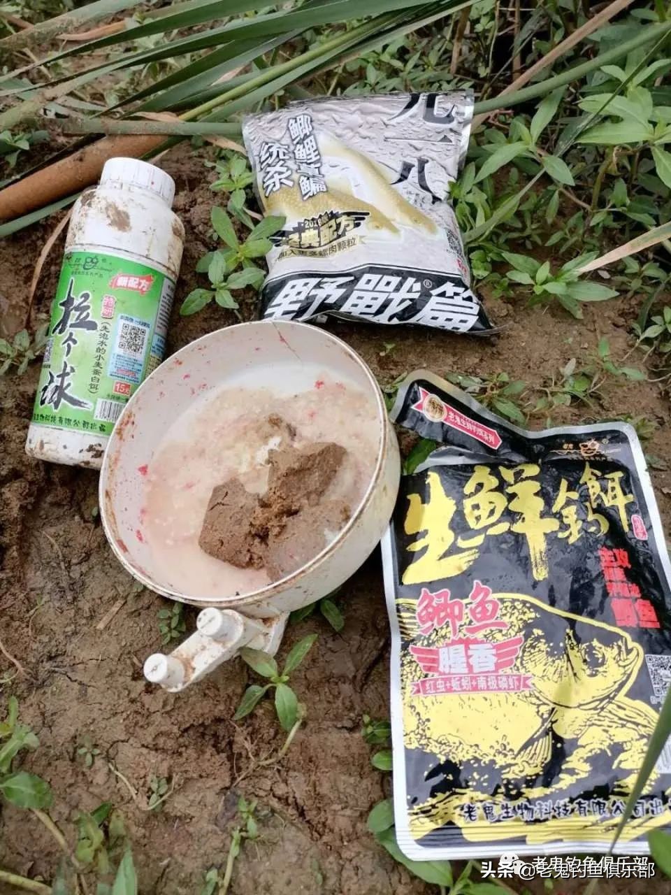 老鬼的生鲜钓饵怎么用,老鬼生鲜钓饵野钓视频