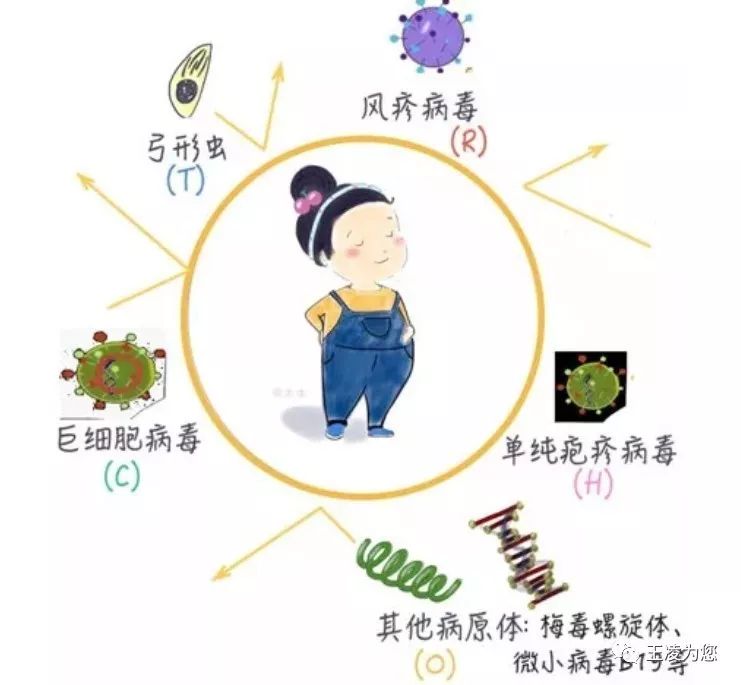 优生五项torch检查是什么意思,孕检torch优生五项