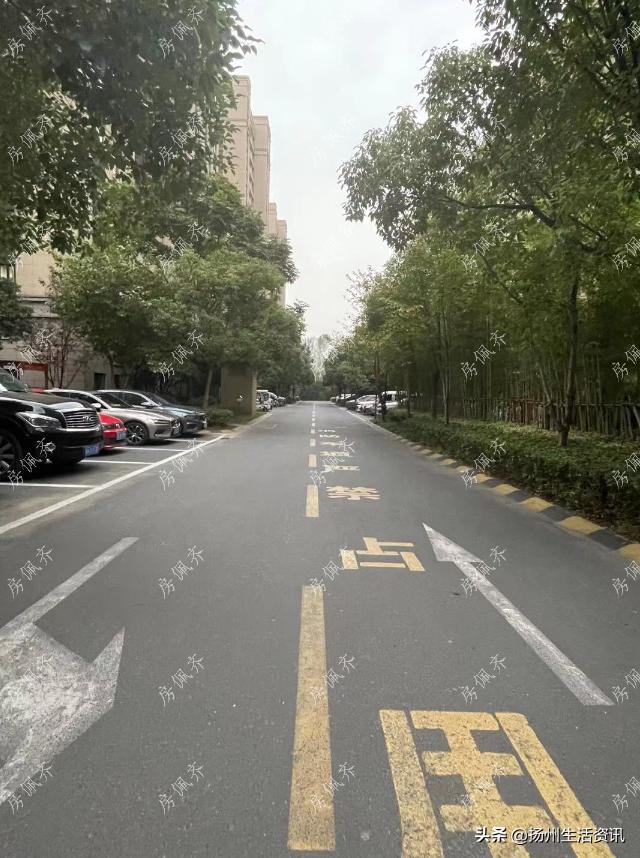 夜探豪宅真实视频,夜探楼盘