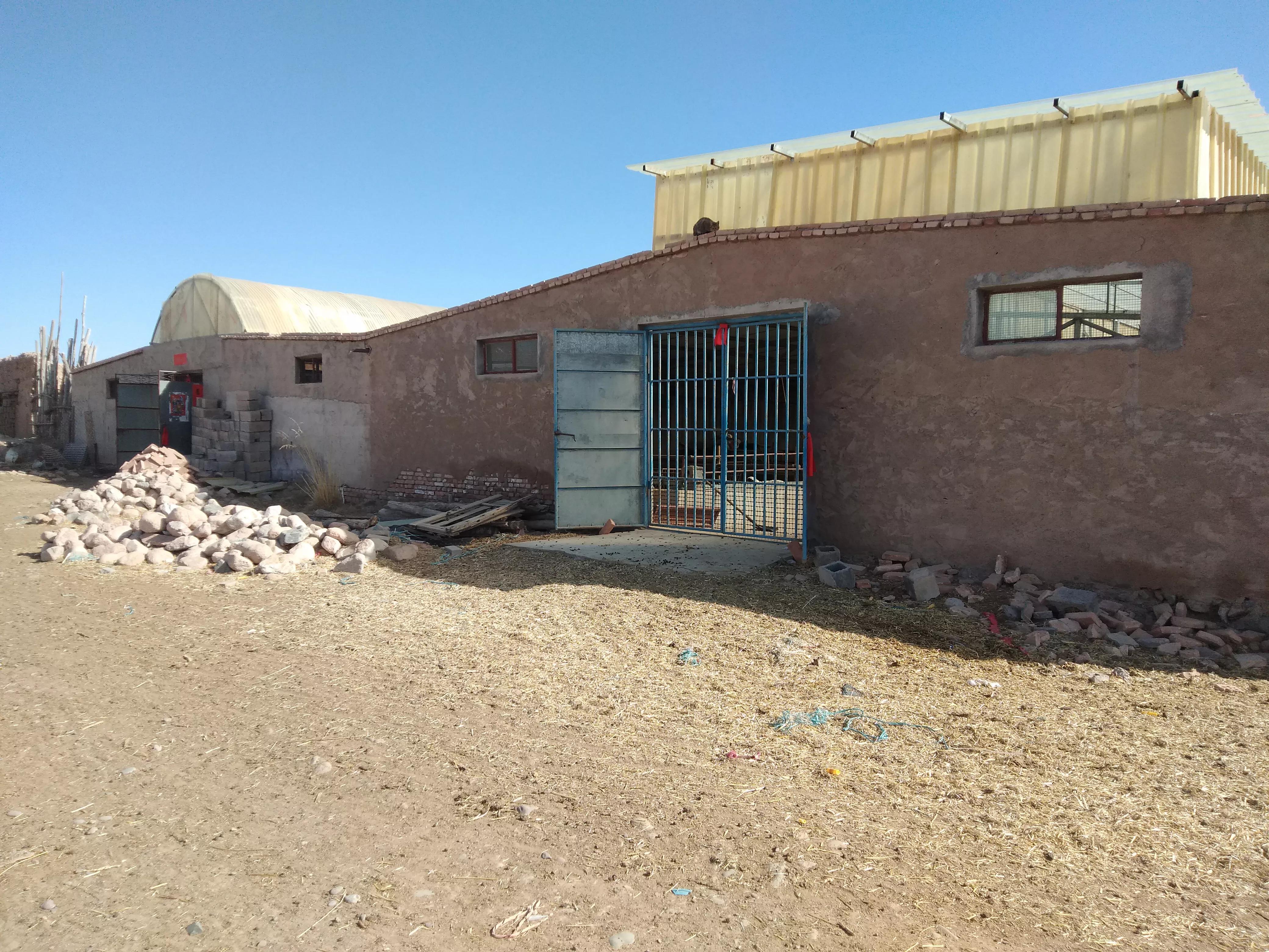 养殖羊的艰辛,养羊基础知识大全集