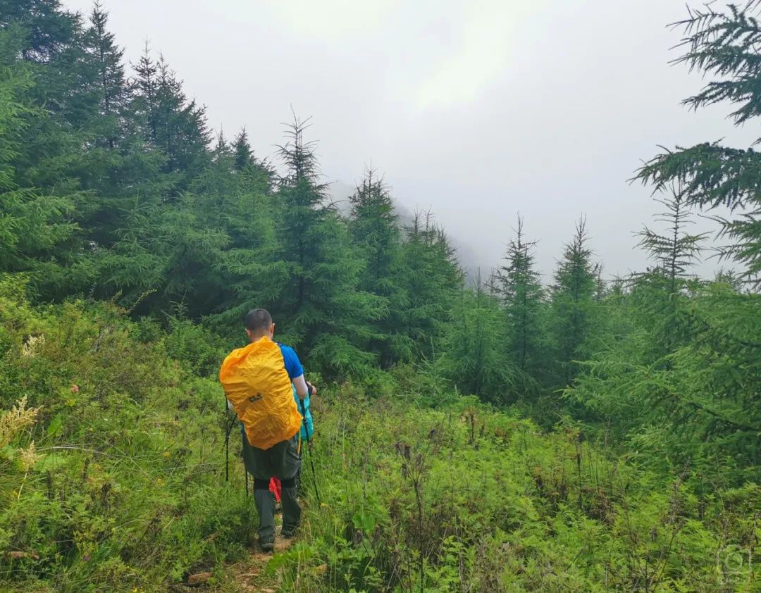 徒步穿越北驼梁完整版,穿越花海古道游记