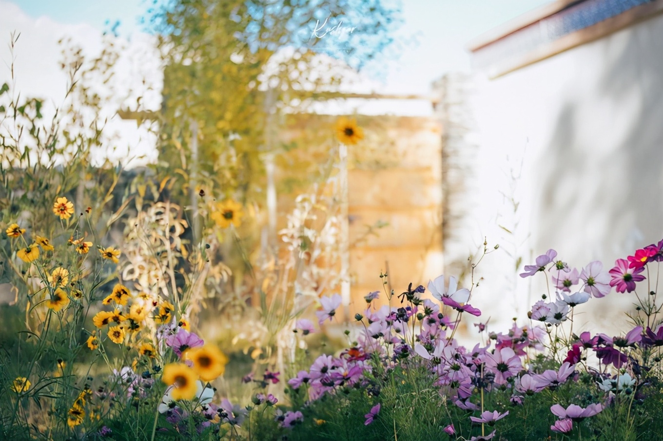 大美*疆新**，一个快递不包邮的地方，藏着不一样的异域风情