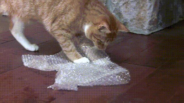 气泡膜能捏下来吗,气泡膜怎么弄视频