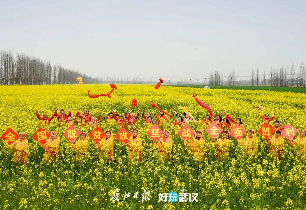 武汉70周年的变化发展,湖北武汉70年荆楚巨变